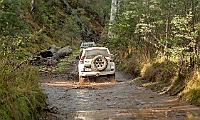 King Basin Road - wet under foot